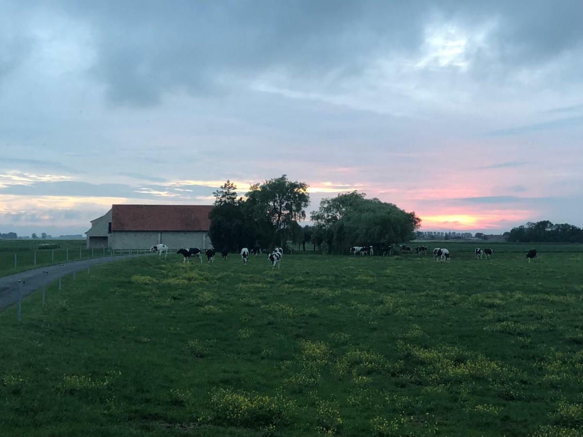 De Goudmijn Villa Diksmuide Buitenkant foto